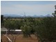 11 Eddy Street, Capella QLD 4723