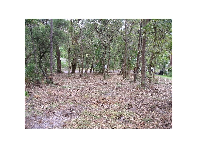 77 Stockton Street, Nelson Bay NSW 2315