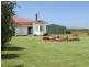 63 Cabbage tree Road, Williamtown NSW 2318