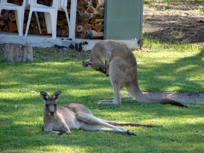 9 Waropara Road, Medowie NSW 2318