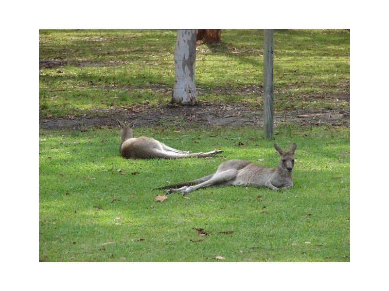 9 Waropara Road, Medowie NSW 2318