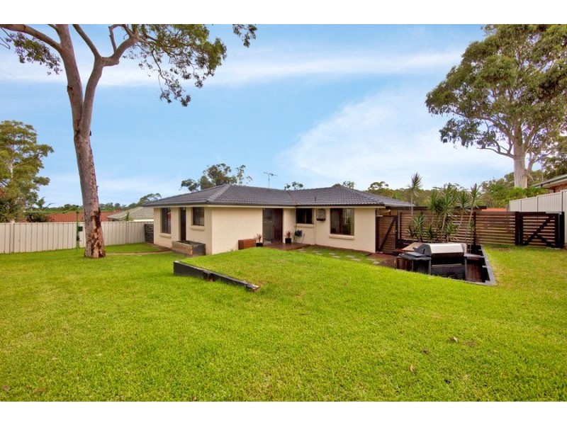 56 Kindlebark Drive, Medowie NSW 2318