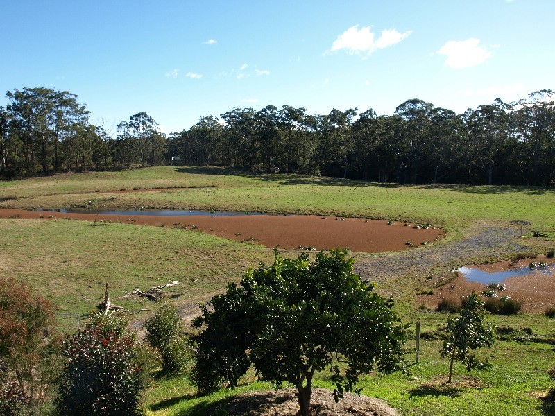 55a Old Coach Road, Limeburners Creek NSW 2324