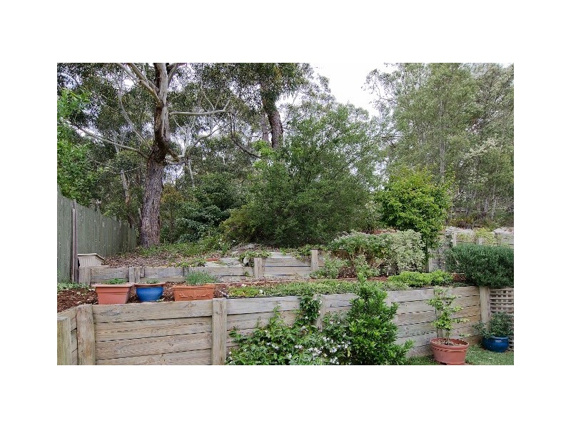 59 Wallawa Rd, Nelson Bay NSW 2315