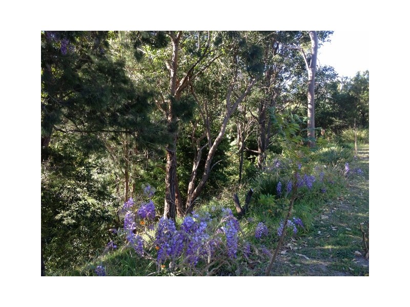 30 Tallean Rd, Nelson Bay NSW 2315