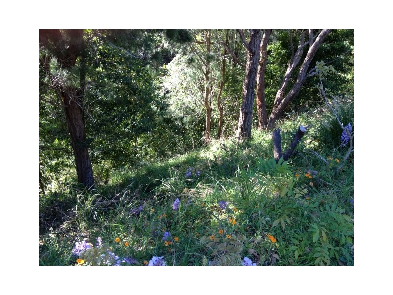 30 Tallean Rd, Nelson Bay NSW 2315