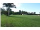 182 Lemon Tree Passage Road, Salt Ash NSW 2318
