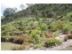 Toowoomba QLD 4350