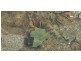 1058 Boundary St South, Drayton QLD 4350
