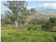 Gatton QLD 4343