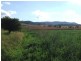 Gatton QLD 4343