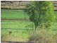 Gatton QLD 4343