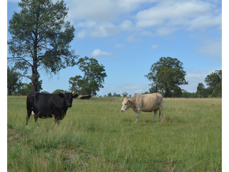 6266 Toowoomba-Karara Road, Leyburn QLD 4365