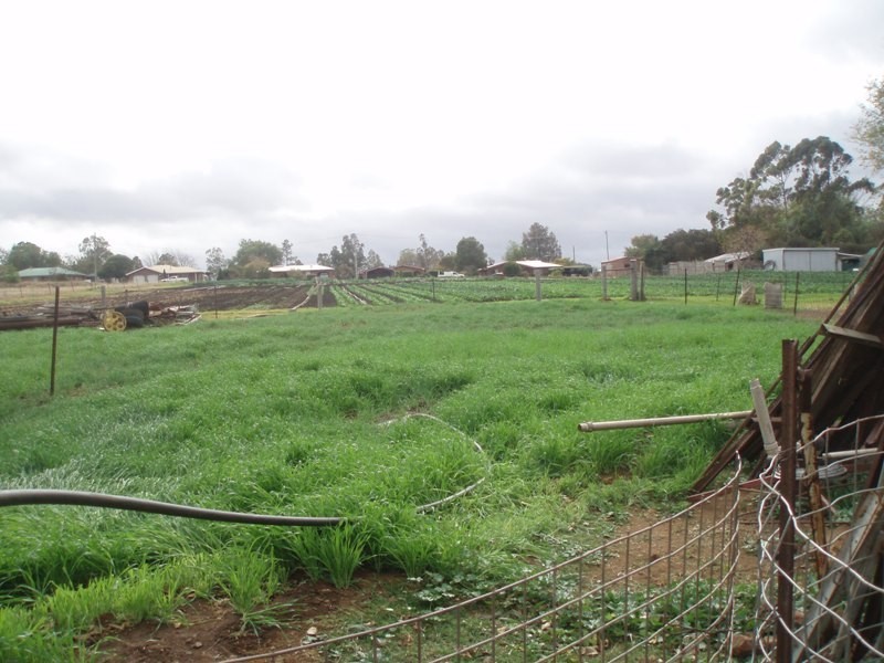 Westbrook QLD 4350