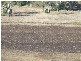 Pittsworth QLD 4356