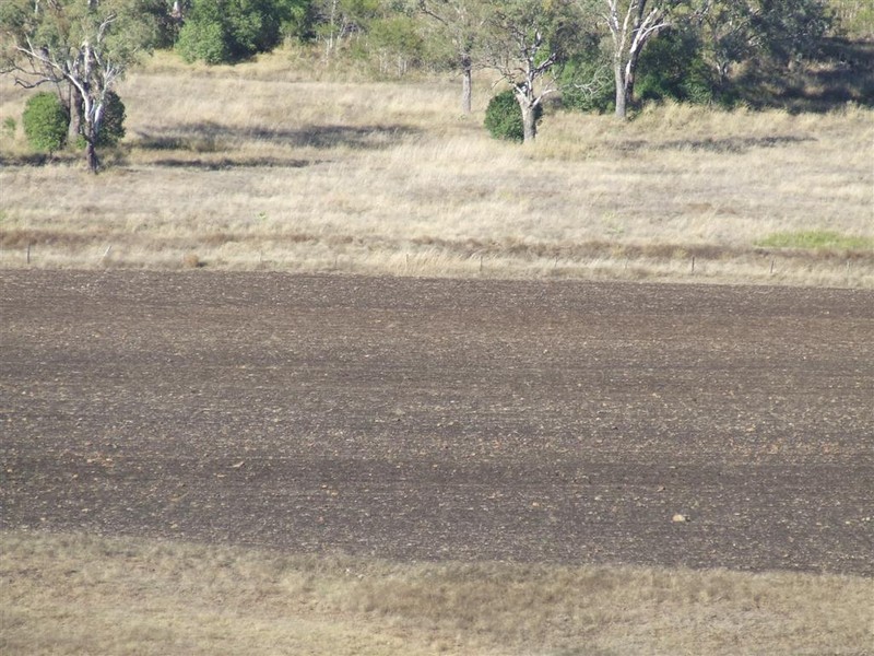 Pittsworth QLD 4356