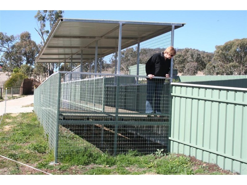 21 Baines Street, Pilton QLD 4361