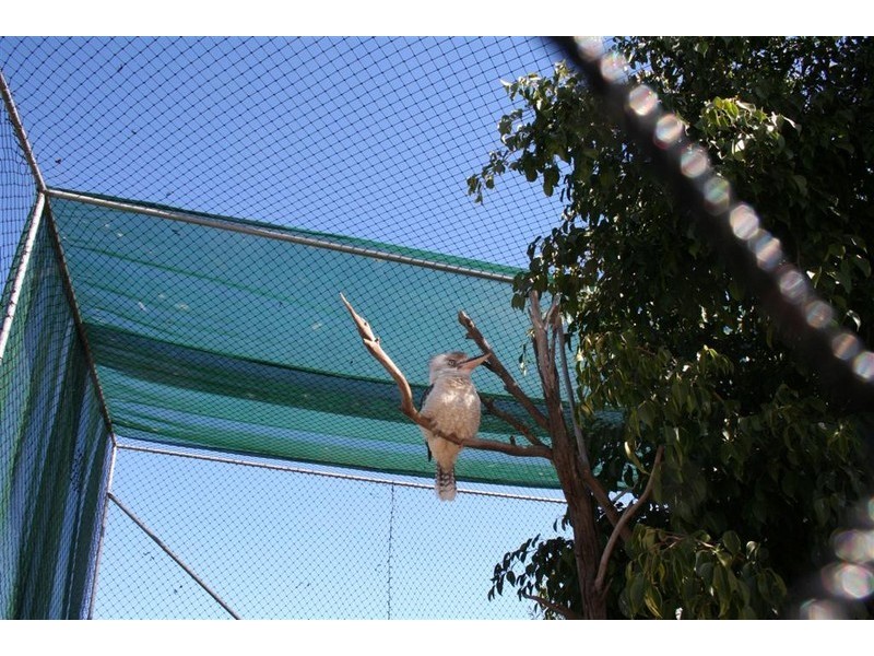 21 Baines Street, Pilton QLD 4361