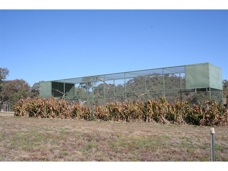 21 Baines Street, Pilton QLD 4361