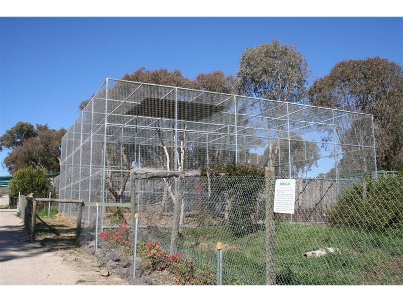 21 Baines Street, Pilton QLD 4361