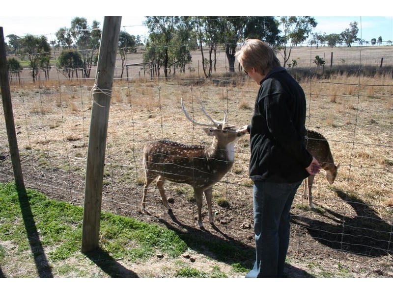 21 Baines Street, Pilton QLD 4361