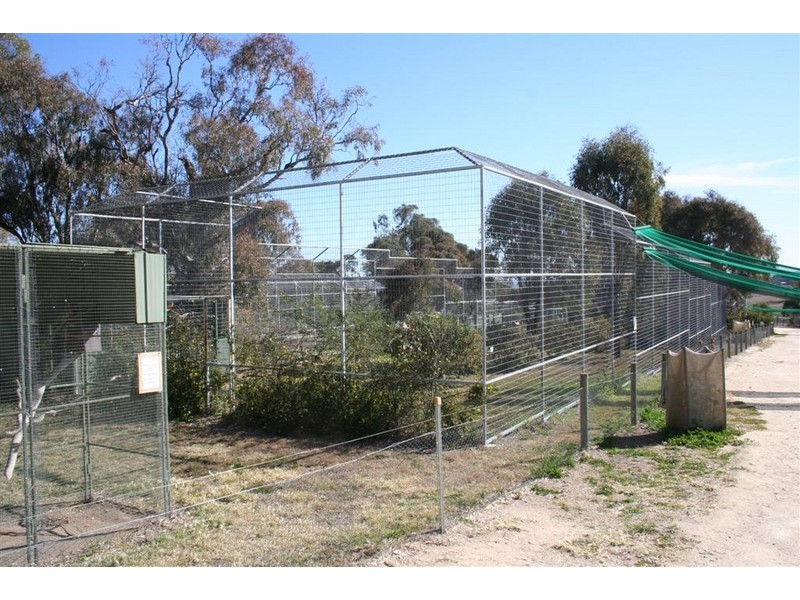 21 Baines Street, Pilton QLD 4361