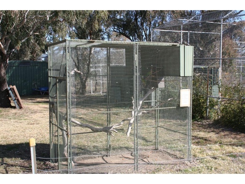 21 Baines Street, Pilton QLD 4361