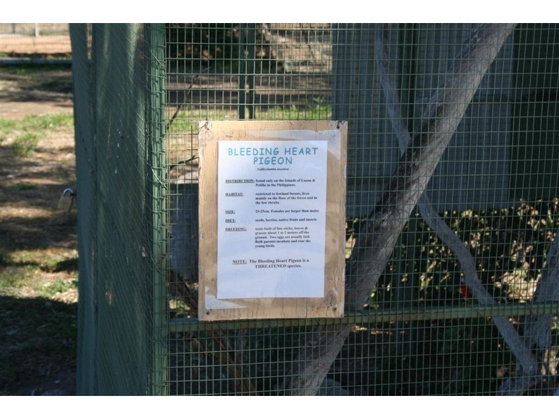 21 Baines Street, Pilton QLD 4361