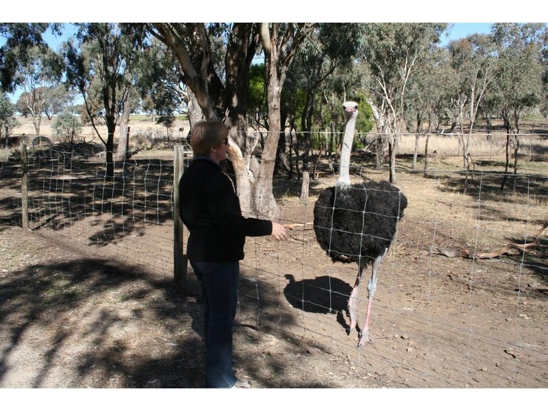 21 Baines Street, Pilton QLD 4361