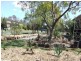 67 Proposch Street, Oakey QLD 4401