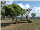 Lowmead QLD 4676