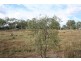248 E Drews Rd, Westbrook QLD 4350