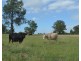 6266 Toowoomba-Karara Road, Leyburn QLD 4365