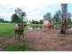 Placid Hills QLD 4343