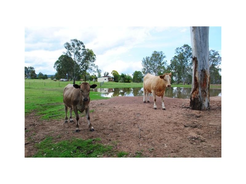 Placid Hills QLD 4343