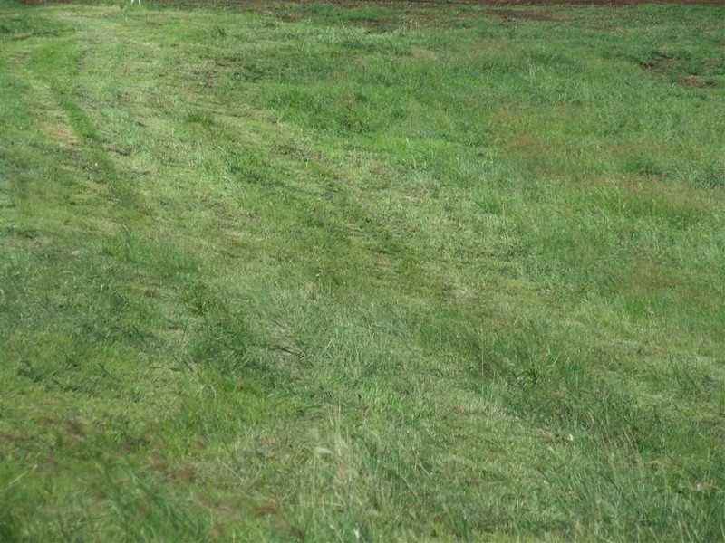 15 Alpine Court, Cranley QLD 4350