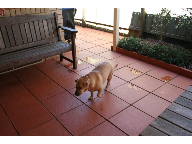 4 Gerrard Street, Middle Ridge QLD 4350