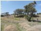 Lot 10 Gwynne Street, Drayton QLD 4350