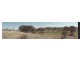 Lot 10 Gwynne Street, Drayton QLD 4350
