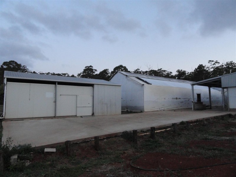 117 Evans Road, Cabarlah QLD 4352