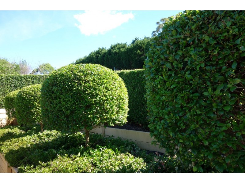 263 Kearney Street, Top Camp QLD 4350