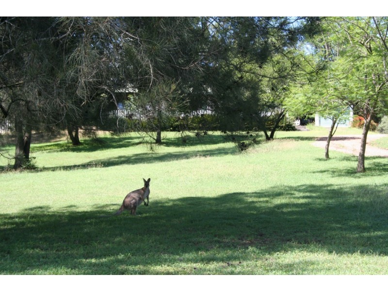 32 Meadows Road, Withcott QLD 4352