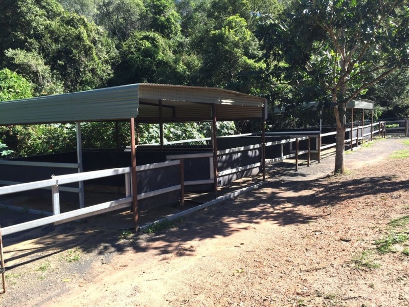 234 Savages Road, Brookfield QLD 4069