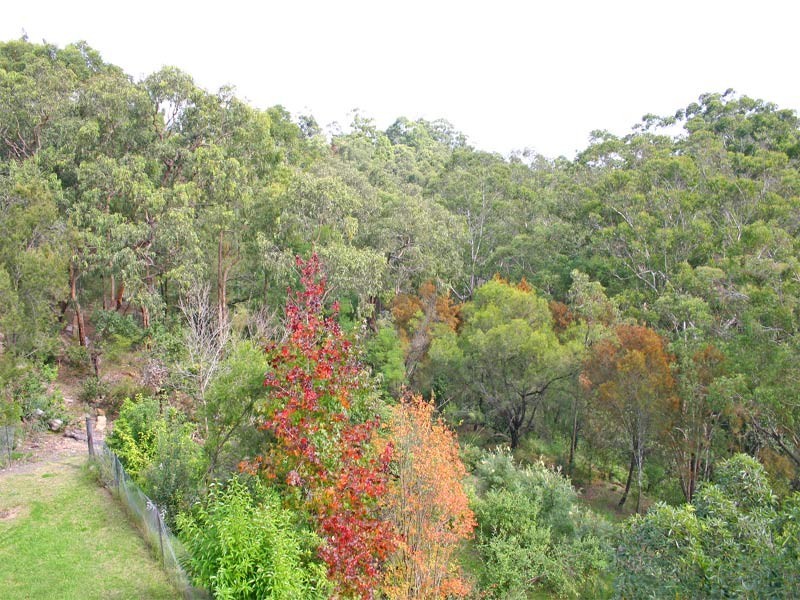 15 Araluen Place, Glenhaven NSW 2156