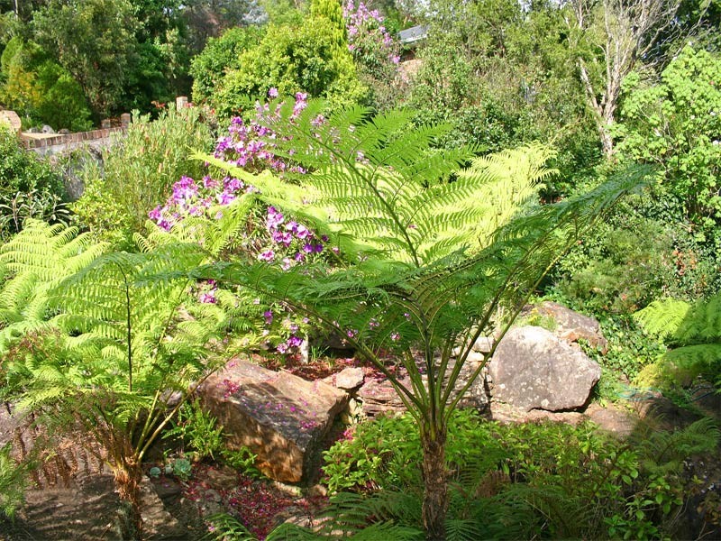 15 Araluen Place, Glenhaven NSW 2156