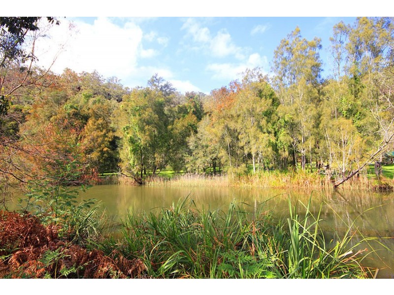 493 Webbs Creek Road, Webbs Creek NSW 2775