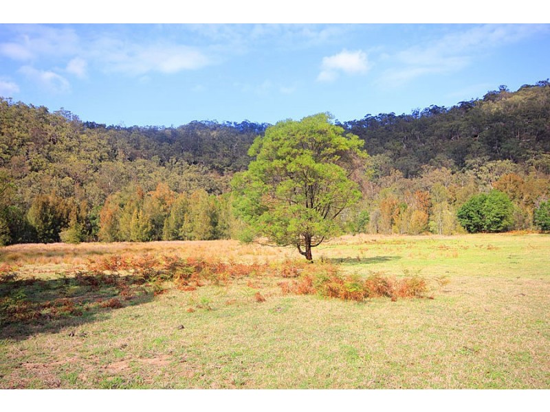 493 Webbs Creek Road, Webbs Creek NSW 2775