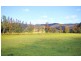 493 Webbs Creek Road, Webbs Creek NSW 2775