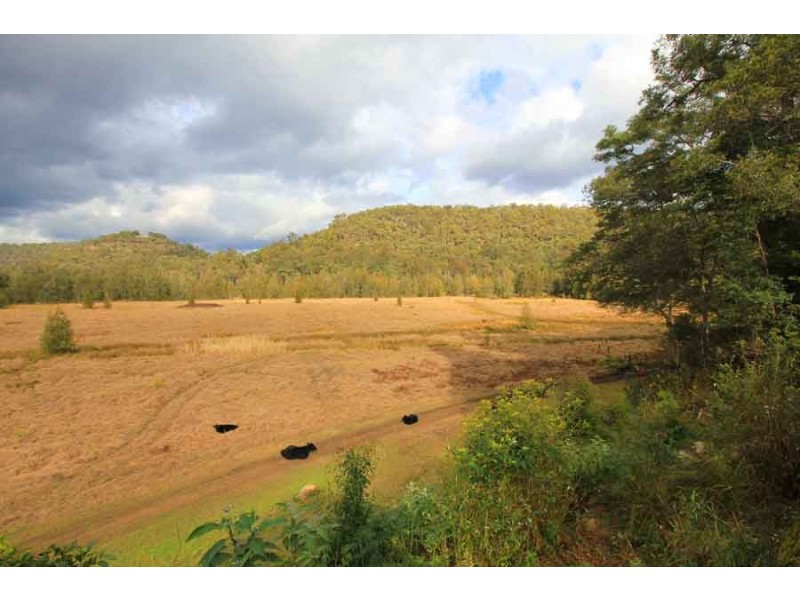 493 Webbs Creek Road, Webbs Creek NSW 2775