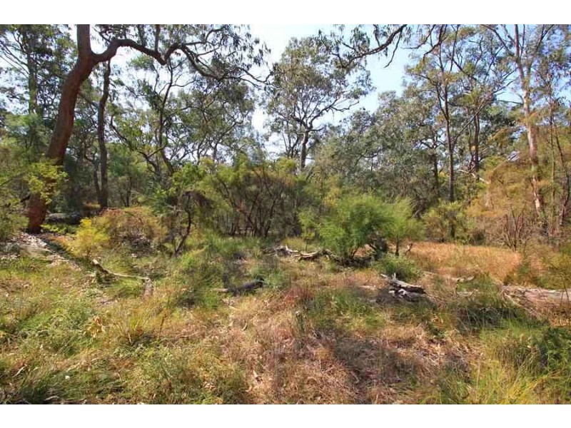 629-643 Halcrows Road, Cattai NSW 2756